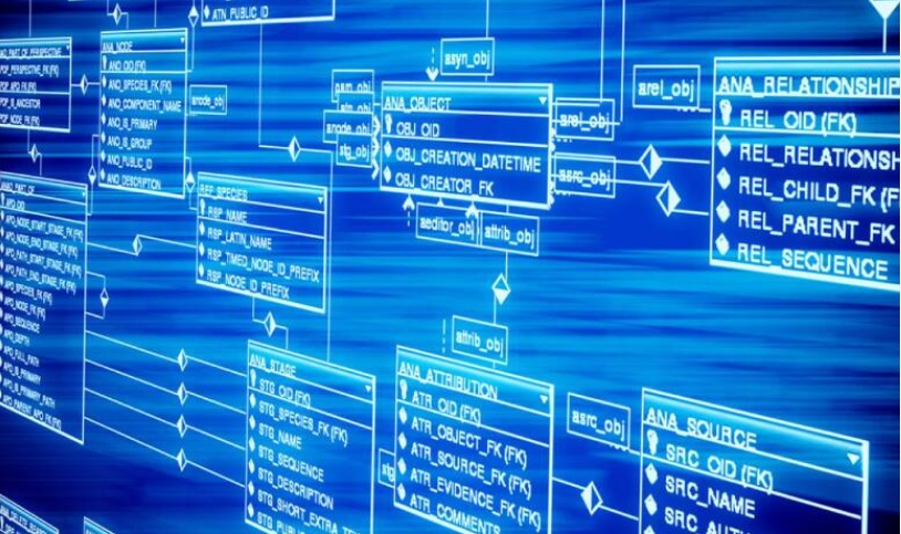 全面掌握海关数据：外贸人开发客户的实用指南